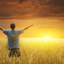 cereals, a man, sun, clouds, west