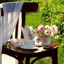 Chair, Garden, Cosmos, Book, Flowers