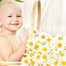 Kid, Flowers, chamomile, basket