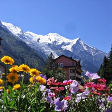 Mountains, Flowers, Chamonix, Houses