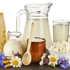 White, milk, Yellow, cheese, dairy, cheese, Flowers