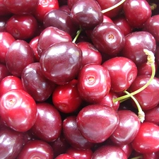 cherries