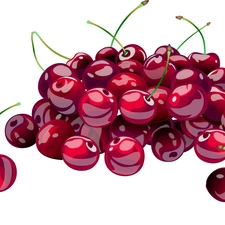 Fruits, cherries