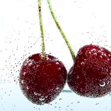 cherries