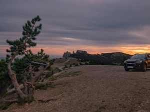Automobile, Chevrolet, trees, pine, Hill
