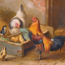 rooster, chickens, Edgar Hunt, chicken