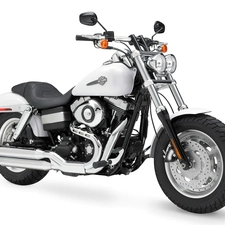 Harley Davidson Fat Bob, White, Chopper