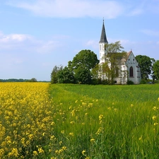 Church, Field, rape