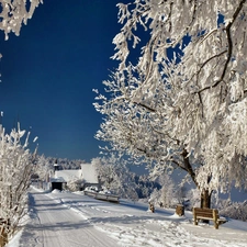 Way, viewes, church, trees