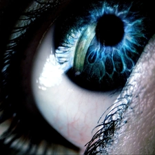 eye, pupils, cilia, iris