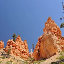 clean, Sky, trees, Softwood, rocks