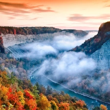 forest, Fog, Cliffs, River