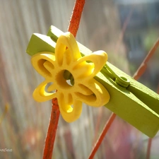 Easter, Flower, clip, decoration