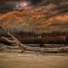 clouds, Coast, Beaches