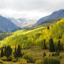 clouds, Mountains, forest