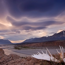 Mountains, antlers, clouds, River