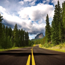 mountains, forest, clouds, Way