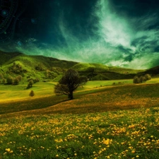 clouds, Meadow, Mountains