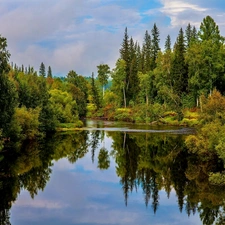 clouds, reflection, forest, lake, autumn