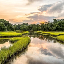 clouds, reflection, forest, bog, River