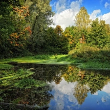 clouds, forest, River