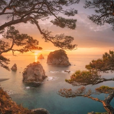 clouds, pine, Seaside, Sunrise, rocks, Japanese Sea, Russia