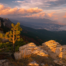 pine, Mountains, Town, clouds, Valley, rocks