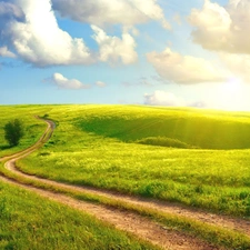 clouds, Field, Way