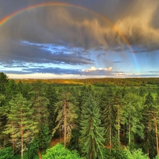 woods, Great Rainbows, clouds, medows