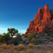 trees, rock, Clumps, grass, viewes, mountains