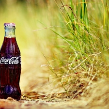 grass, Bottle, Coca Cola