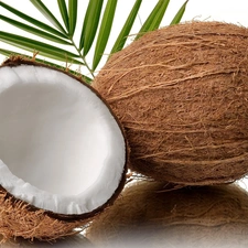 Coconut