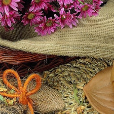 purple, mug, coffee, Chrysanthemums