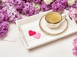 coffee, Two cars, without, hearts, Flowers, saucer, cup, tray
