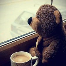 coffee, teddybear, Window