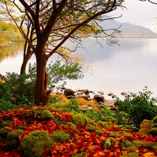 Stones, Mountains, Leaf, woods, River, color, autumn