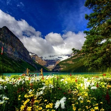 color, Flowers, lake, Park, Mountains