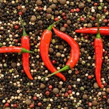 color, pepper, pepper, Chili, Hot