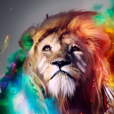 Lion, mane, colors, dispelled