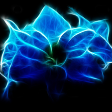 Fraktal, blue, Colourfull Flowers