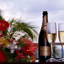 Champagne, Bouquet of Flowers, composition, glasses