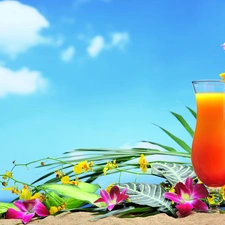 composition, Drink, Flowers, orchids, Orange Juice