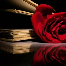 red hot, Books, composition, rose