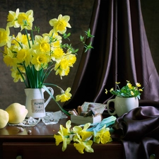 Shells, composition, jug, Box, Jonquil