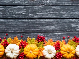 boarding, composition, Leaf, pumpkin, Autumn