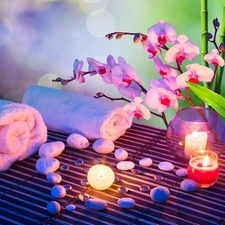 composition, Spa, Candles, Stones, orchids