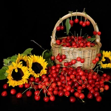 Nice sunflowers, basket, compositions, cherries