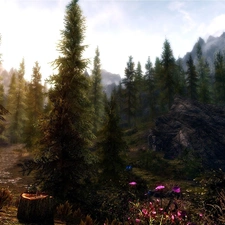 Conifers, Flowers, trees, viewes, Mountains