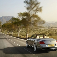 Bentley Continental GTC