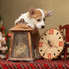 lantern, Clock, Welsh corgi pembroke, Santa, dog